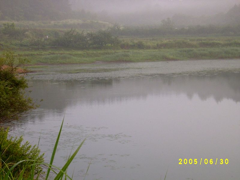 S4200185.JPG