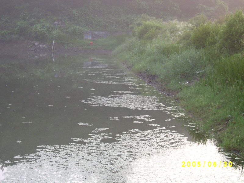 S4200186.JPG