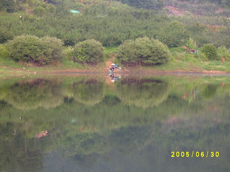S4200188.JPG