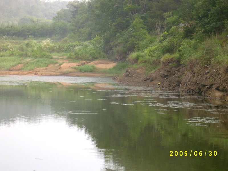 S4200189.JPG