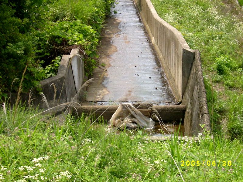 S4200190.JPG