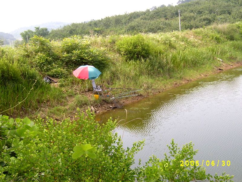 S4200192.JPG