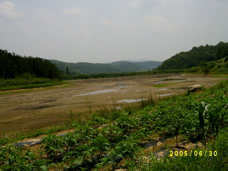 S4200194.JPG