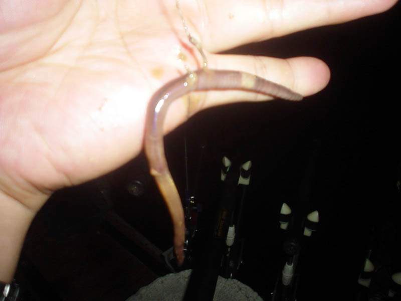 050730%20121.jpg