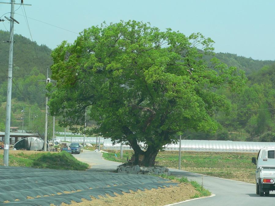 photo%200014.jpg