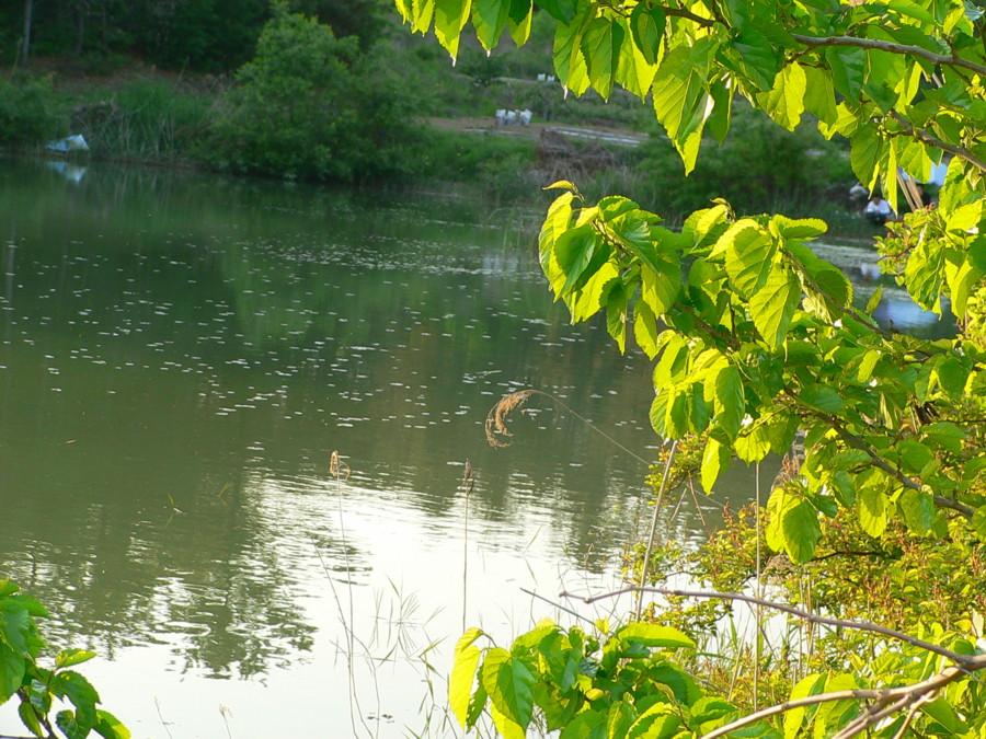 photo%2011.jpg