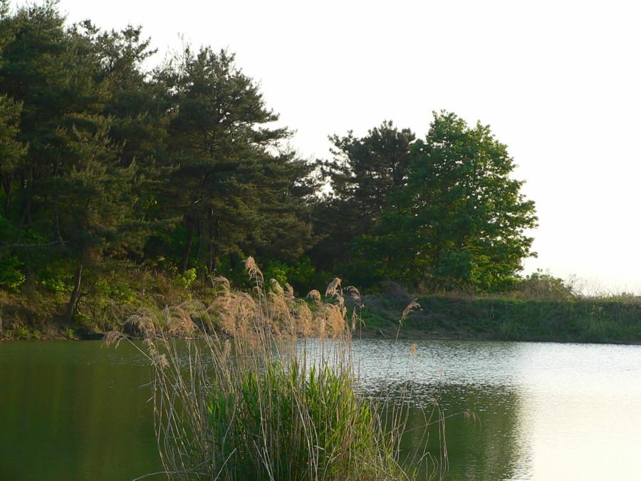 photo%2012.jpg