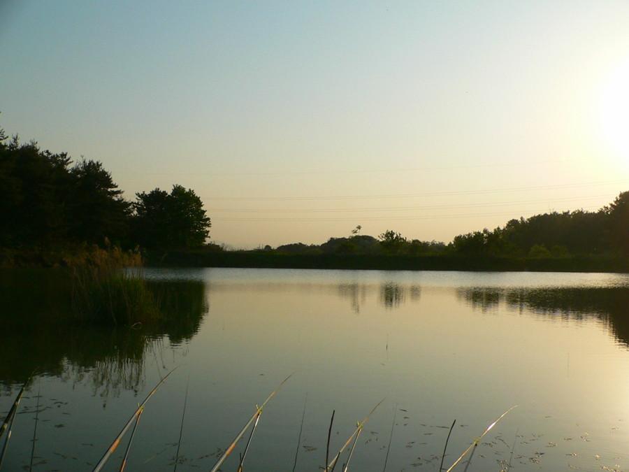 photo%2013.jpg