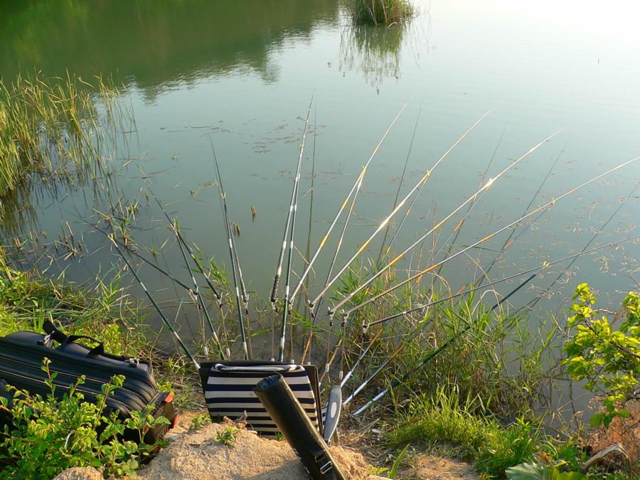 photo%2014.jpg