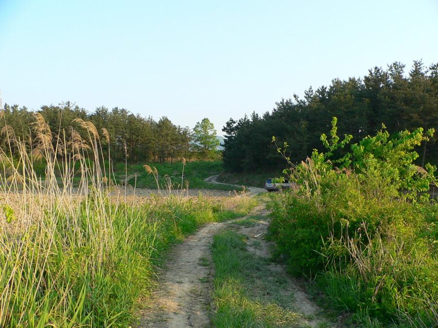 photo%2015.jpg