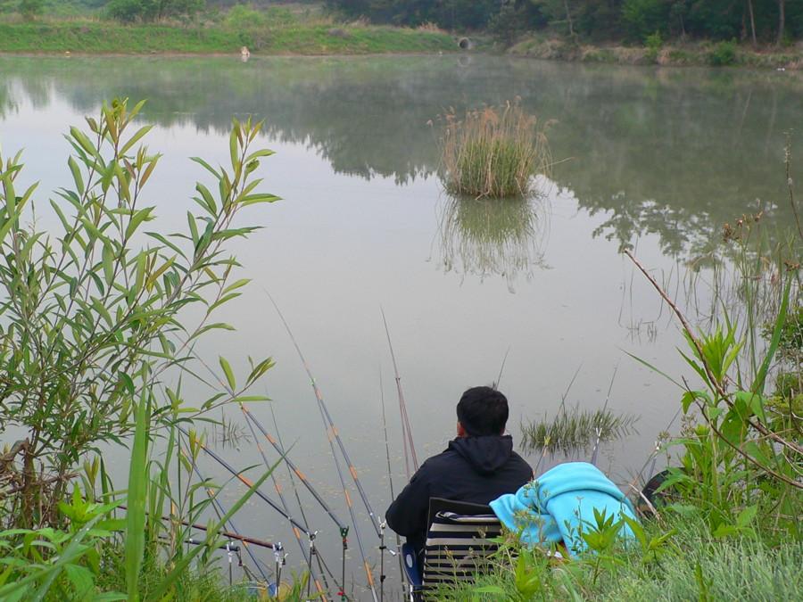 photo%2020.jpg