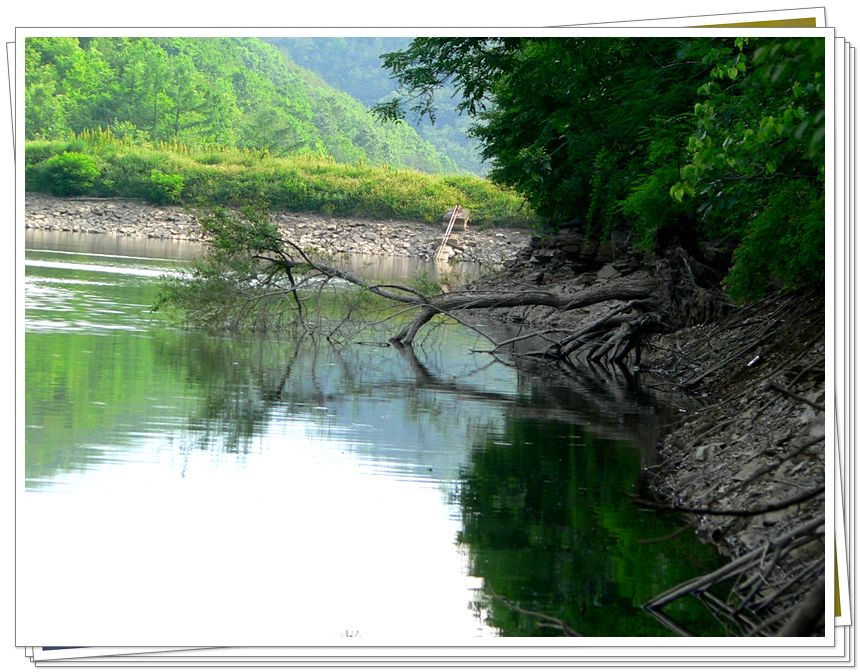 photo%20113.jpg
