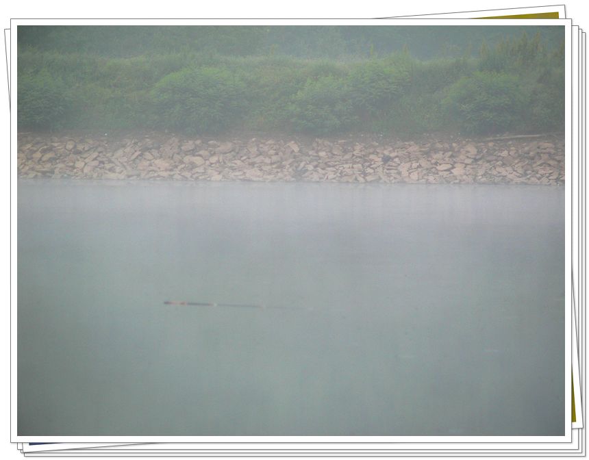 photo%20120.jpg