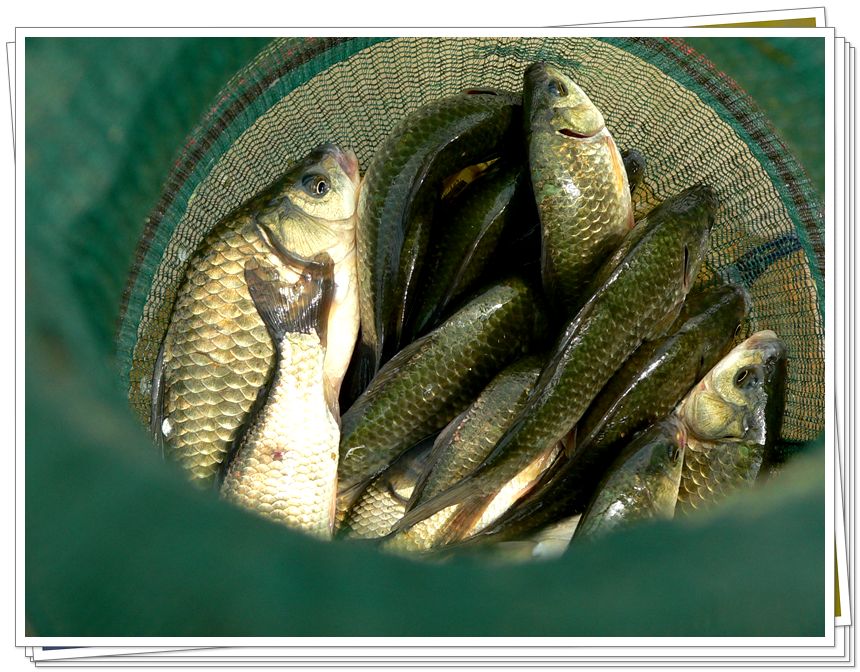 photo%20125.jpg