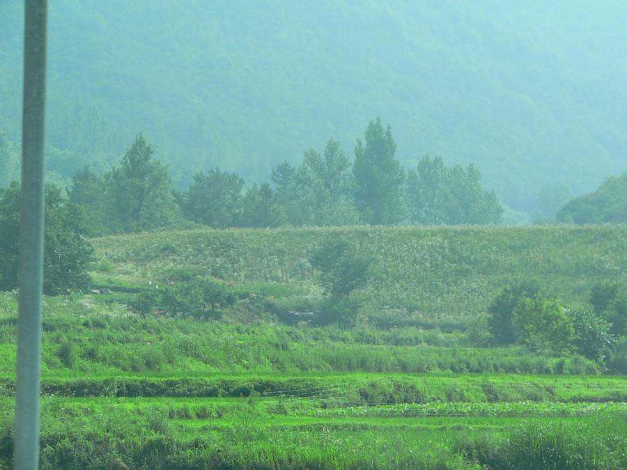 photo%20136.jpg