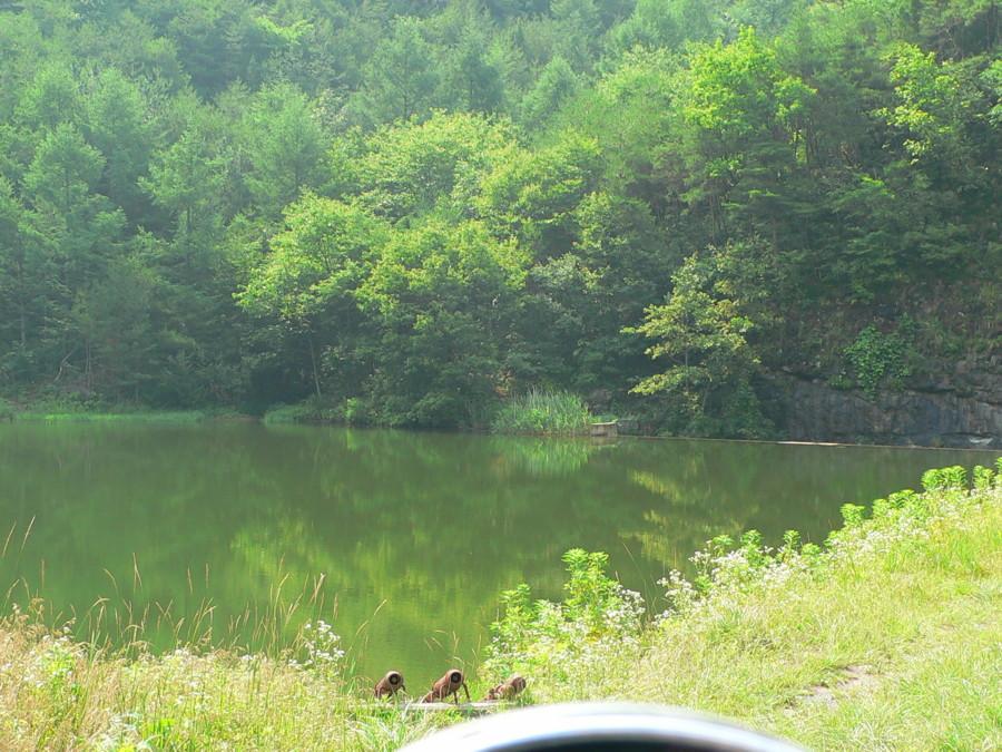 photo%20137.jpg