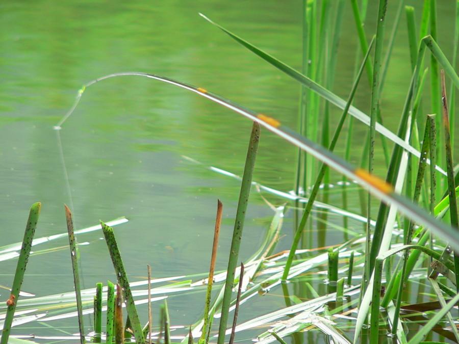 photo%20149.jpg