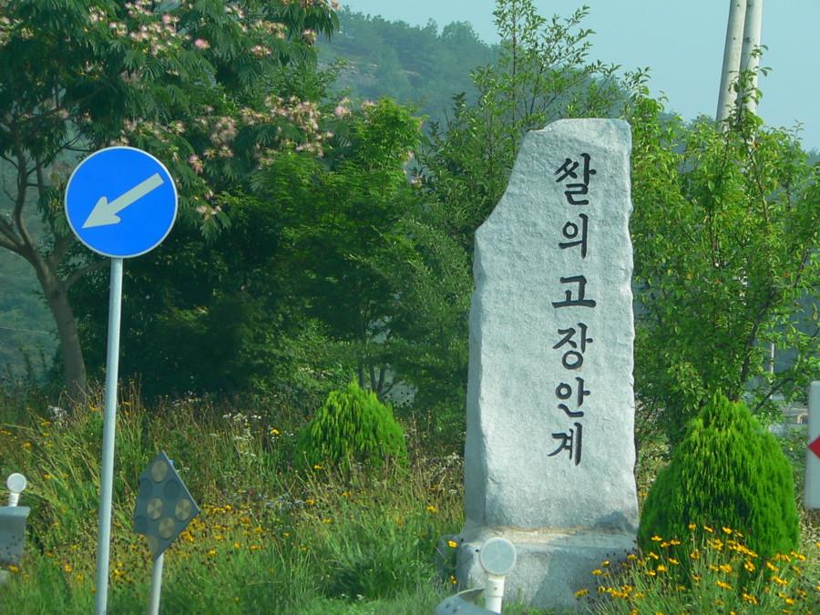 photo%20162.jpg