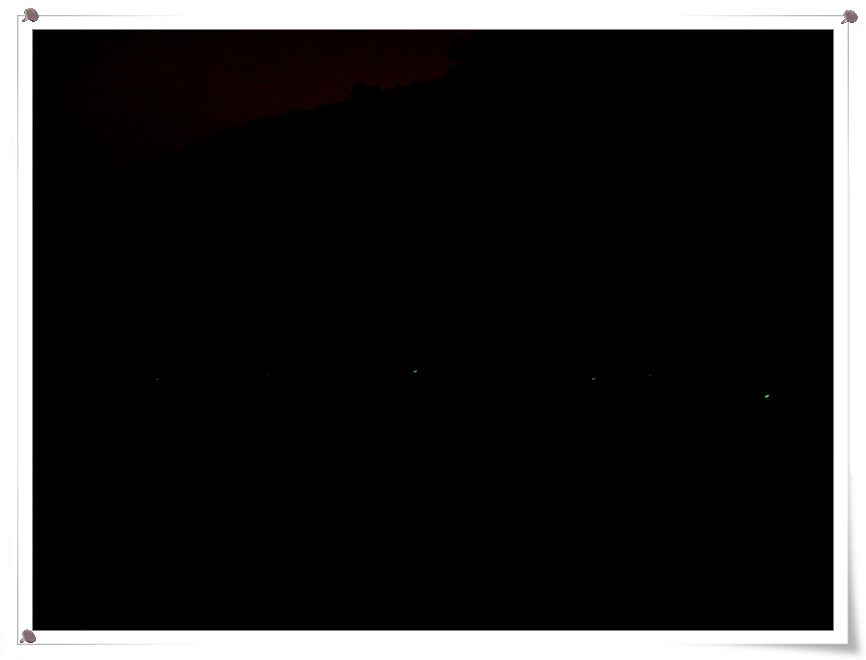 photo%20178.jpg