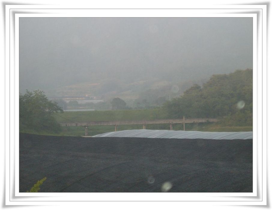2005.6.2001.jpg