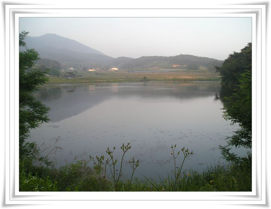 2005.6.2002.jpg