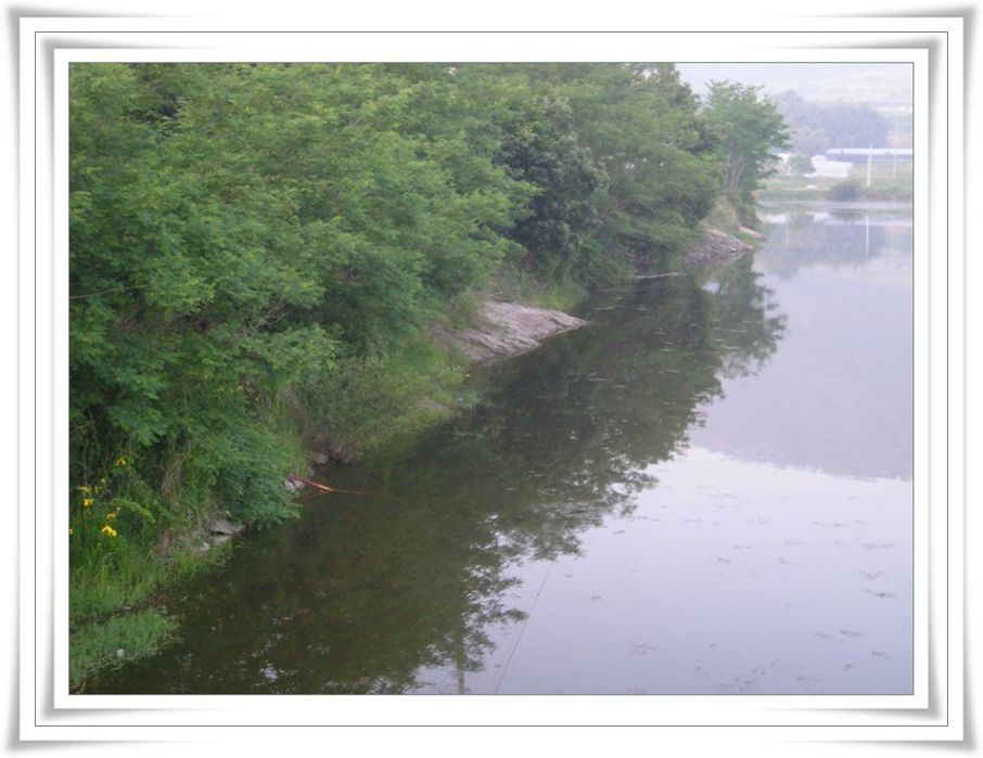 2005.6.2003.jpg