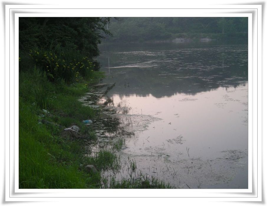 2005.6.2014.jpg