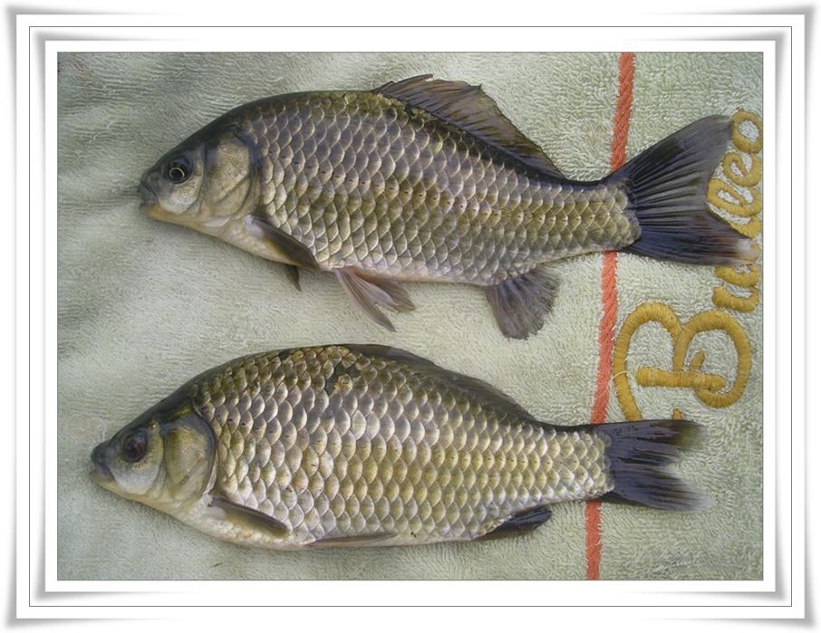 2005.6.2019.jpg