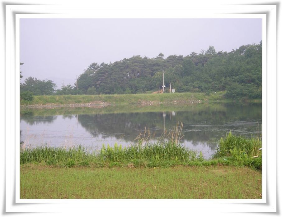 2005.6.2021.jpg