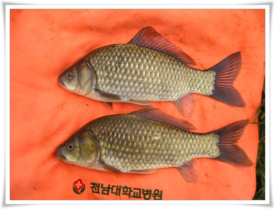 10--017.jpg
