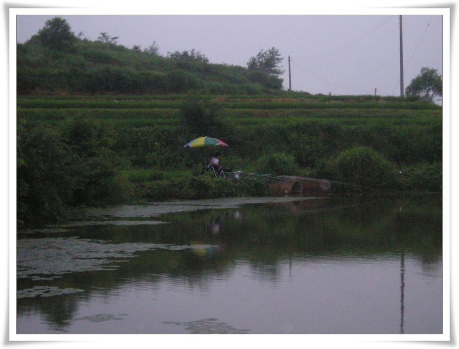 2005-13019.jpg