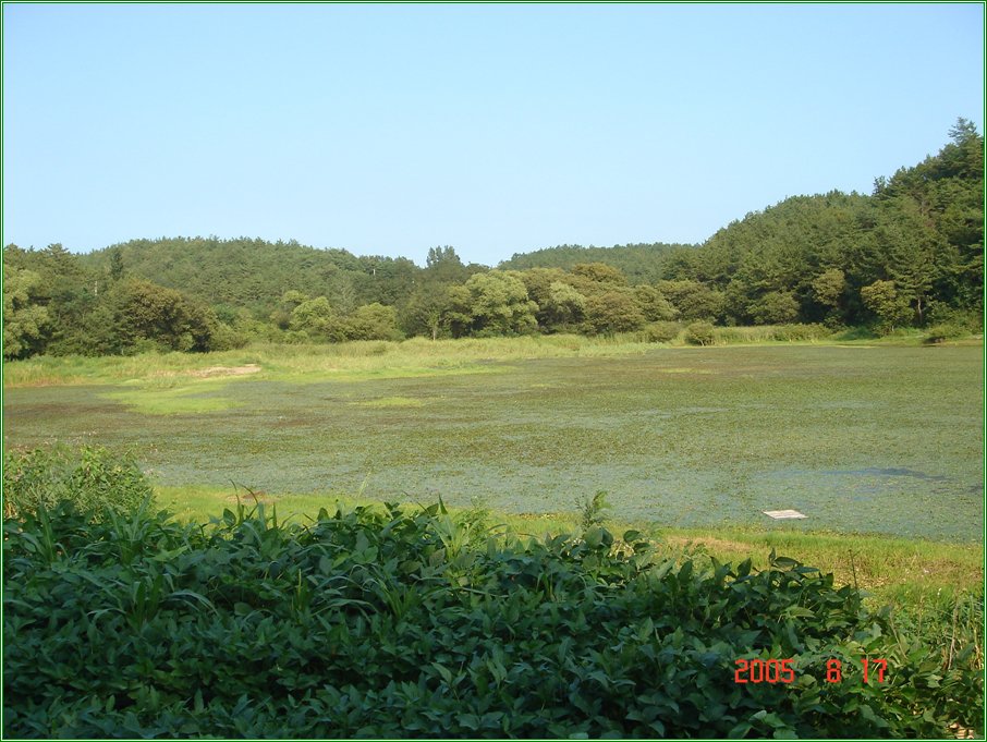 106.jpg