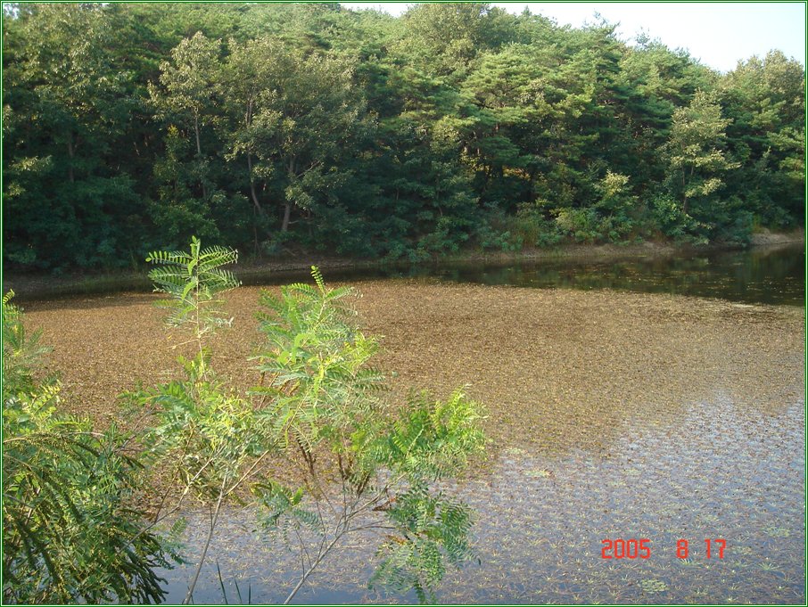110.jpg
