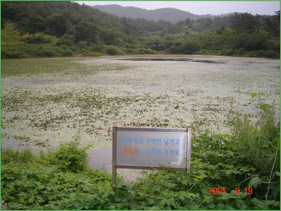 129.jpg