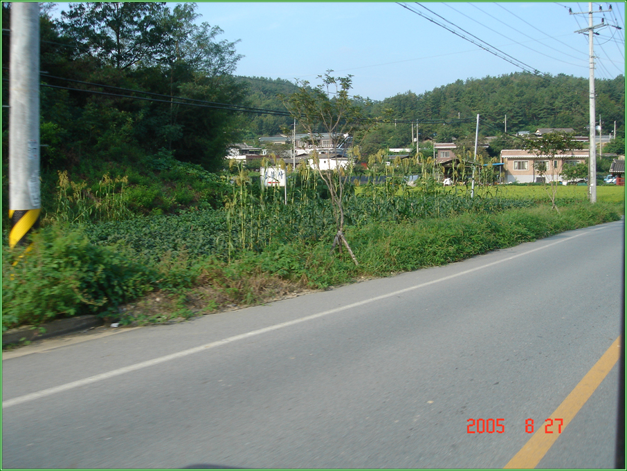 505.jpg