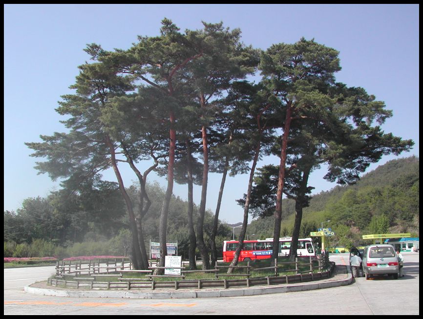 01.jpg