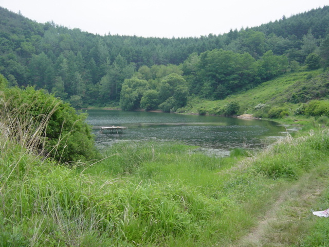 DSC00003.JPG