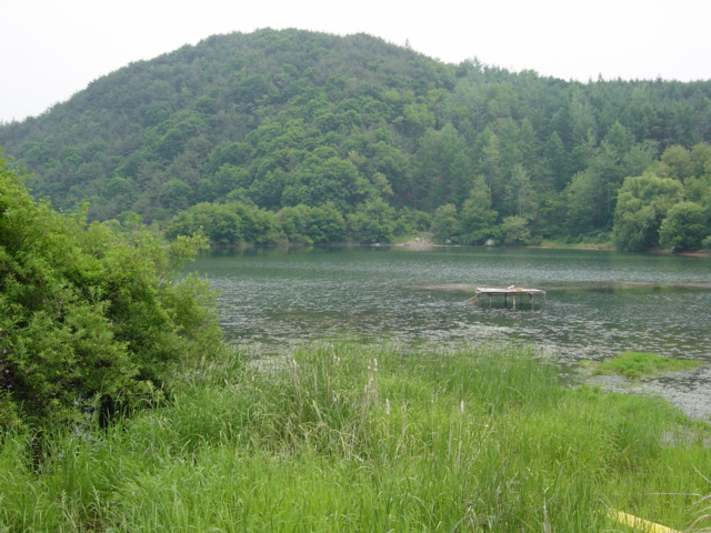 DSC00004.JPG