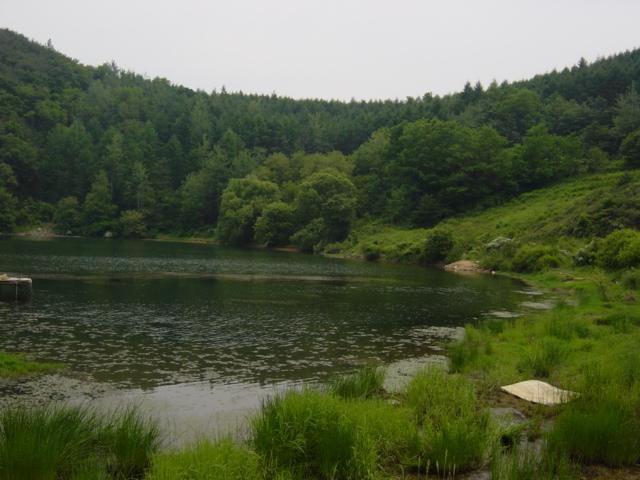 DSC00005.JPG