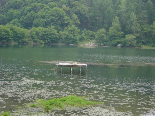 DSC00006.JPG