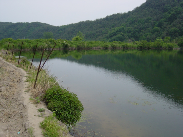 DSC00008.JPG