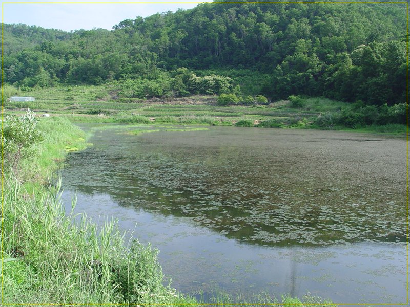 04.jpg
