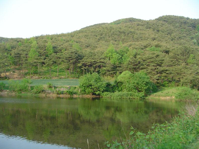 Dsc00760.jpg
