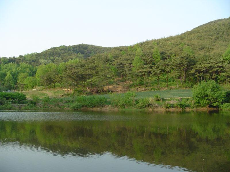 Dsc00762.jpg