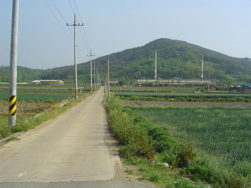Dsc00787.jpg