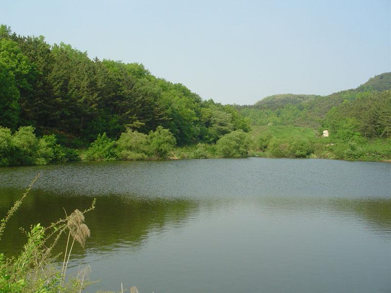 Dsc00807.jpg