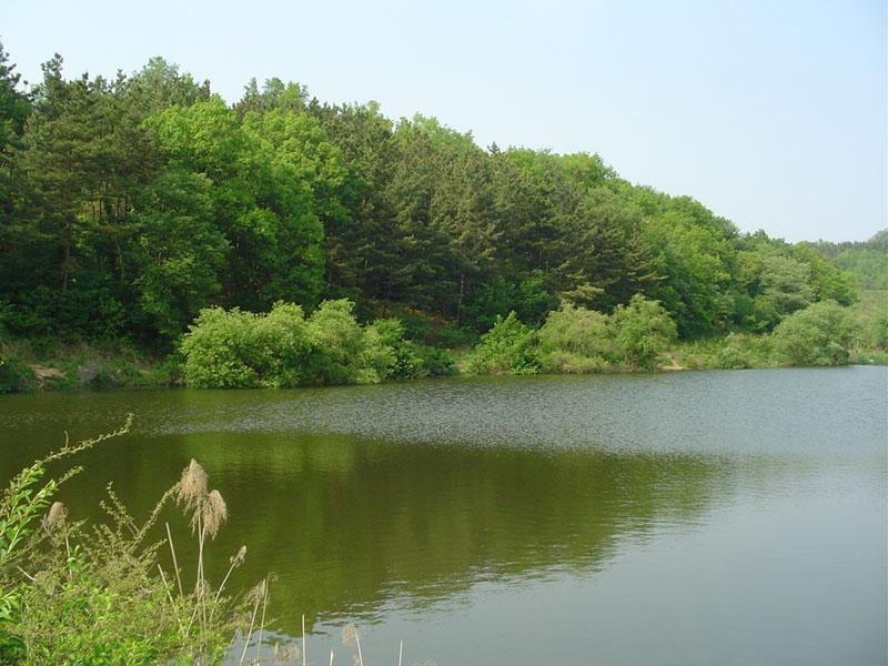 Dsc00808.jpg