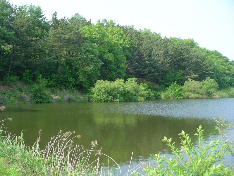 Dsc00810.jpg
