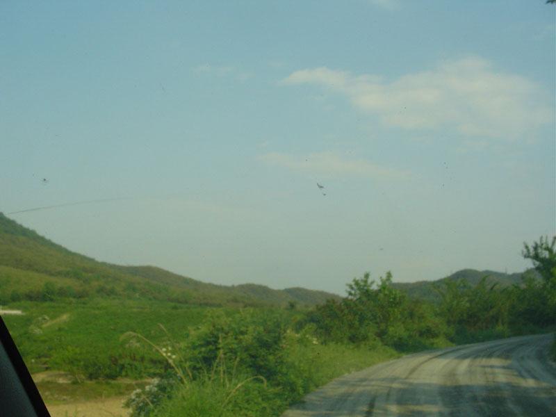 Dsc00855.jpg