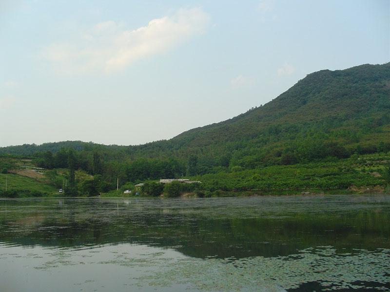 Dsc00859.jpg
